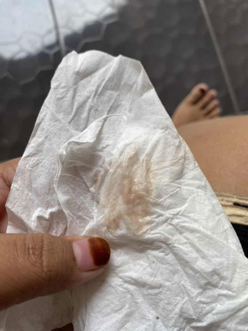 Bunda mau tanya tolong jwb ya