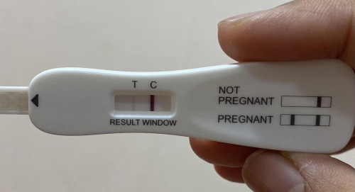 Pregnancy test