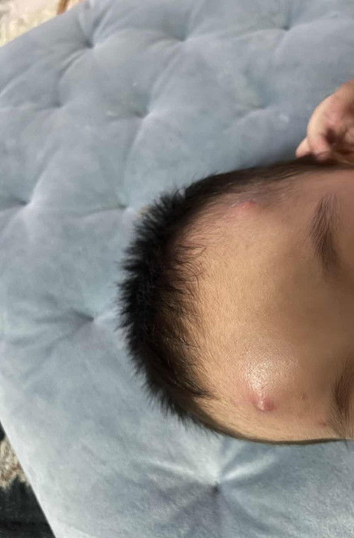 Ada yang tahu ni kenapa ?