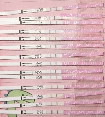 Line opk terang 2 line