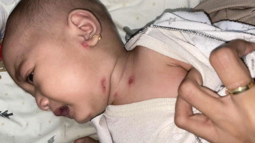 Bun tolong bantu jawab