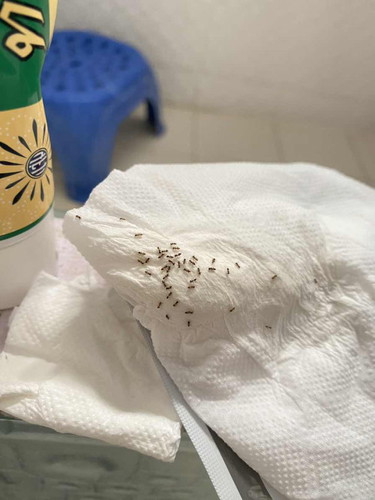 สอบถามแม่ๆค่ะ