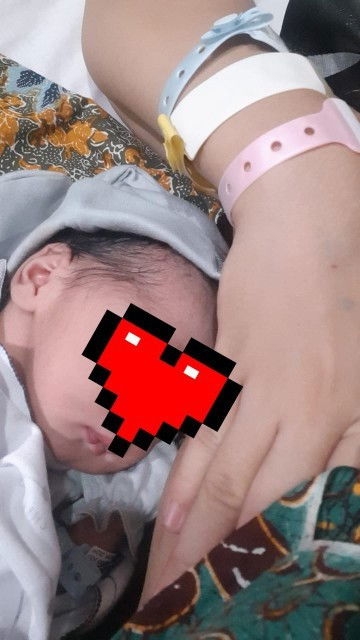 Hpl 28 maret launcing 14 maret