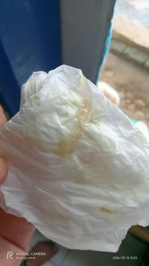 sakit kaya sakit mau haid