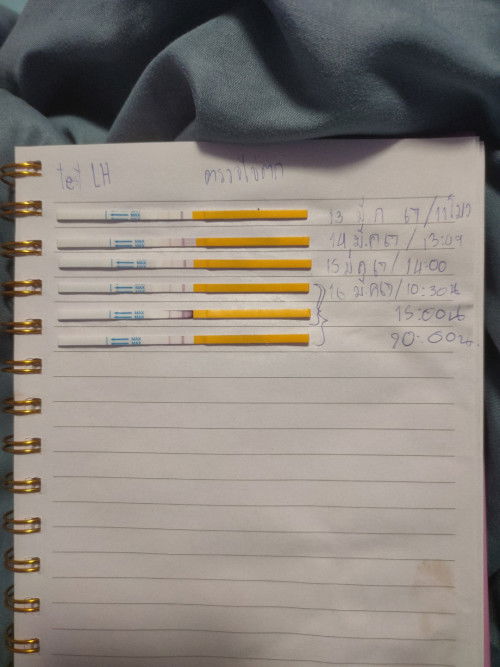 แบบนี้ไข่ใกล้ตกยังคะ