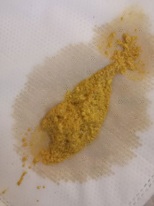 Lần đầu làm mẹ