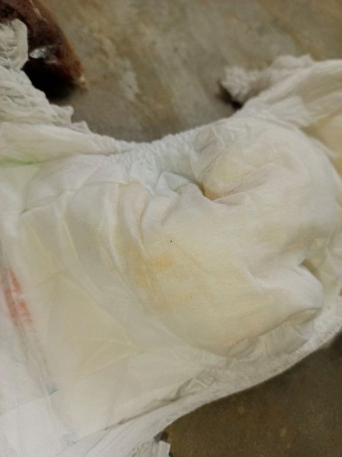 Tolong bantu jawab bund