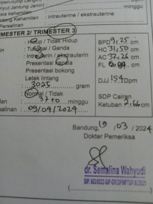 Trimester 3