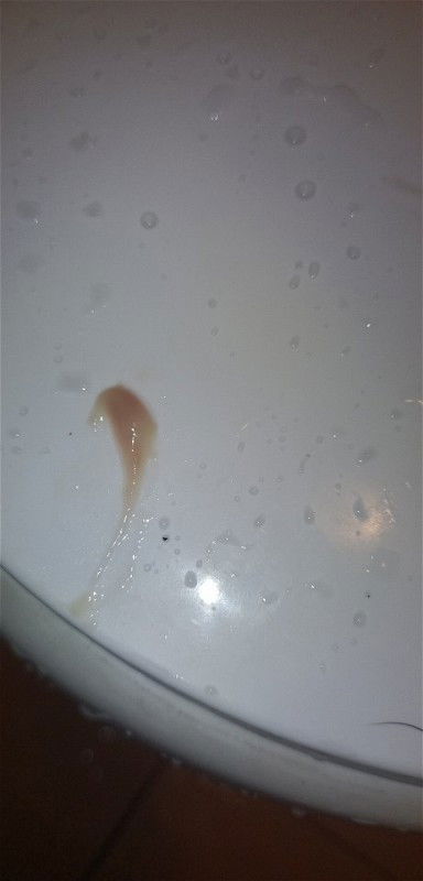 33 วีคเจอแบบนี้