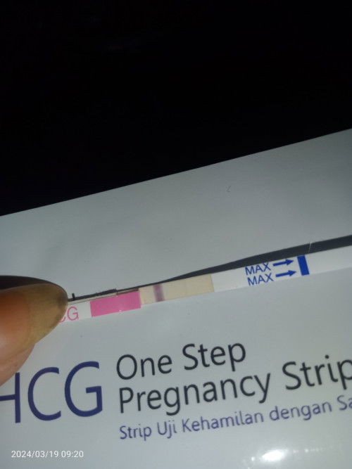 Telat 1 bulan tapi di tespek garis 2 samar .