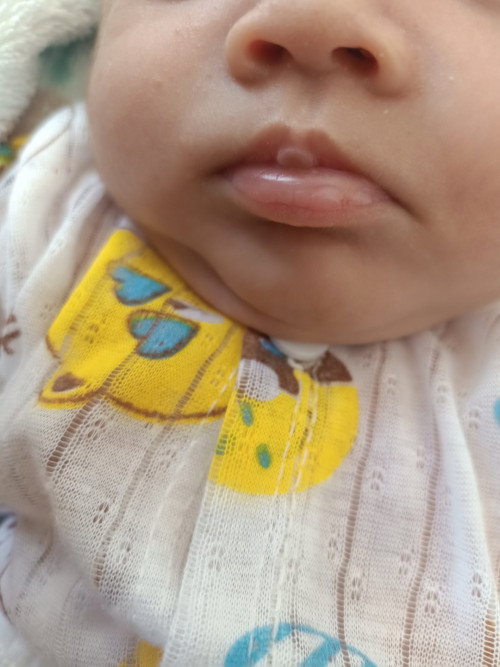 BABY 26HARI