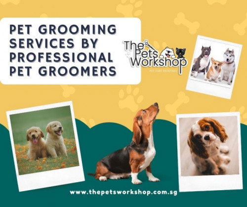 Regular brushing to specialized grooming services — The Pets Workshop