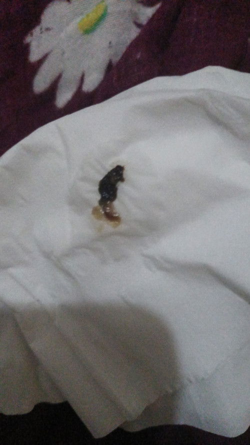 Mohon maaf jika jika jorok