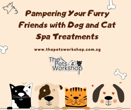 Keep your pet’s paws healthy and comfortable — The Pets Workshop