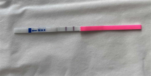 PCOS - OPK