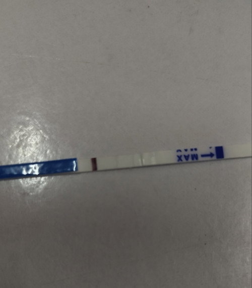 Hari ni Dpo 13