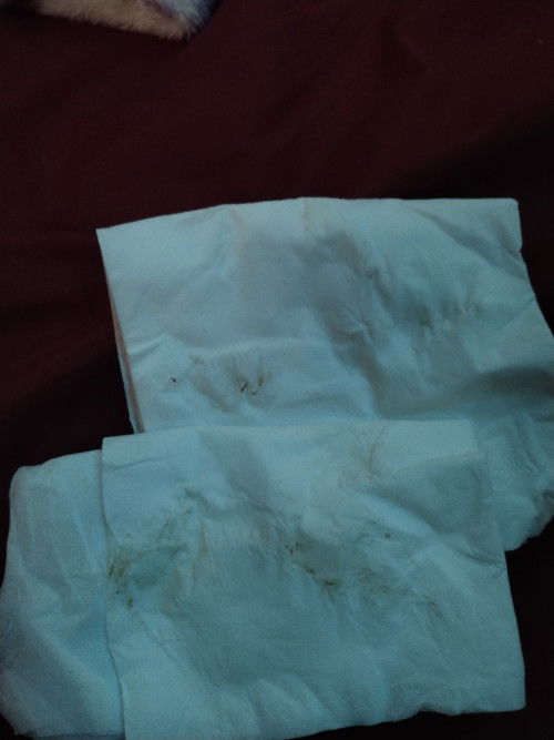 Obat penguat kandungan