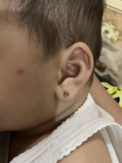 Tindik anting