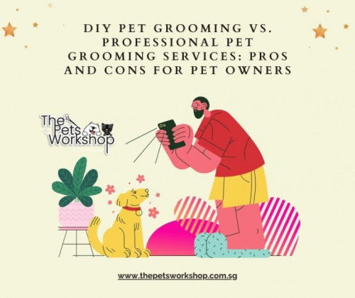 Groom your pet at home or seek professional assistance — The Pets Workshop