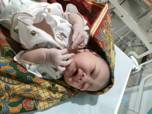 hpl 25 Maret akhirnya launching