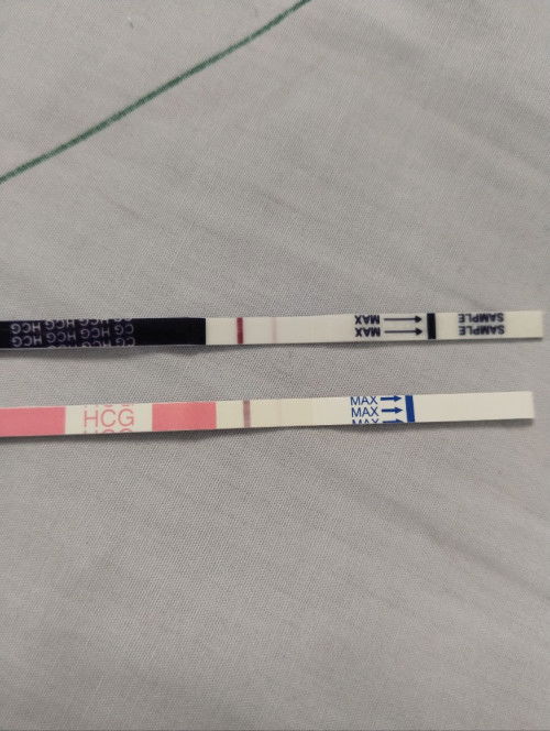 ขอคำปรึกษา