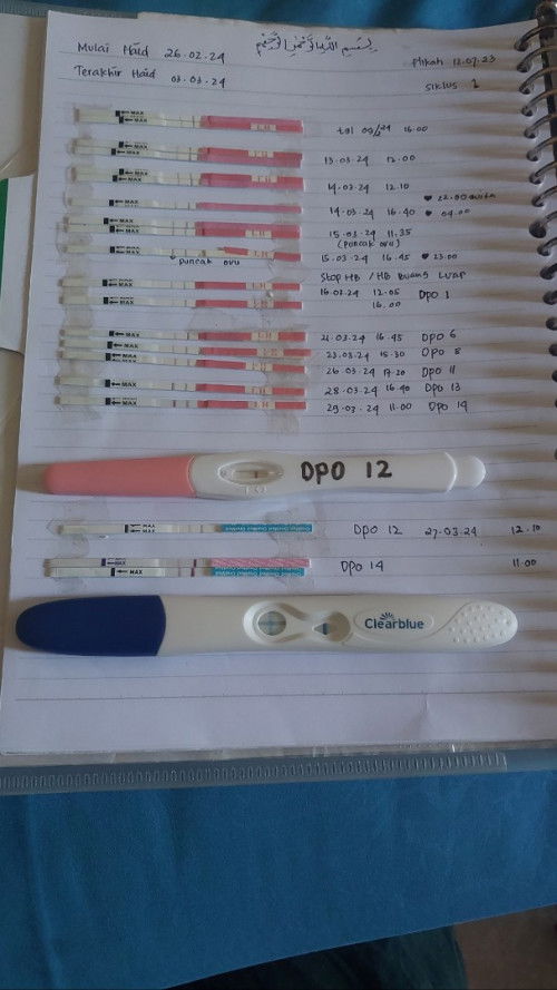 Hpht 26 Feb, Butuh Link Grup Hpl Desember