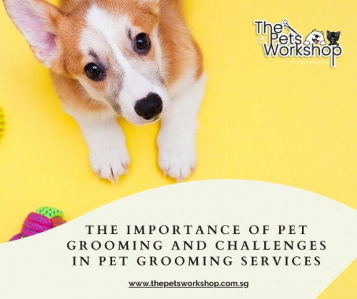 Pet grooming plays a crucial role in maintaining the health and hygiene — The Pets Workshop