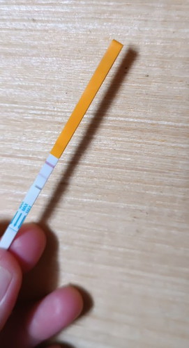 Ovulation Test Kit  road for pregnancy