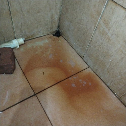 Maaf gmbar agak menjijikkan