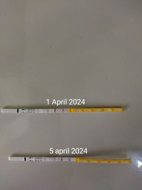 Hasil tespack setelah keluar bercak pink lanjut bercak coklat