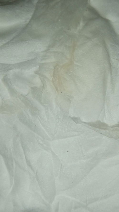 Ada orang macam saya spirit 4 hari ...mcam agi 😔