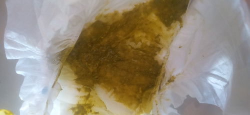 Bayi 2 bulan full ASI, pup hijau..