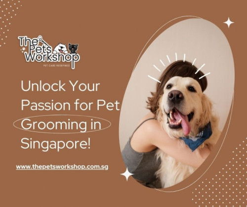 Grooming sessions can alleviate stress and anxiety — The Pets Workshop