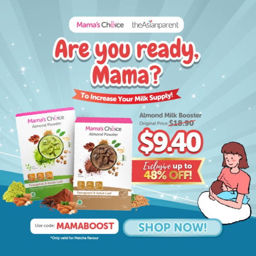 🤔Nursing Mamas NEED This to Keep Their Milk Supply Flowing!