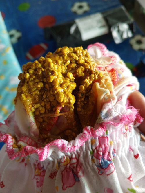 อึของการกินนมชง