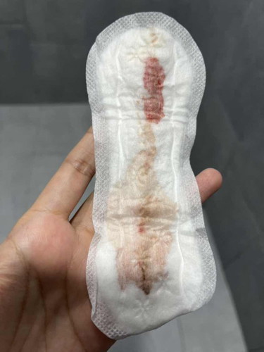 Pampakapit
