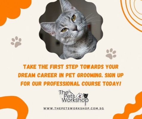 Training in grooming techniques and business management — The Pets Workshop