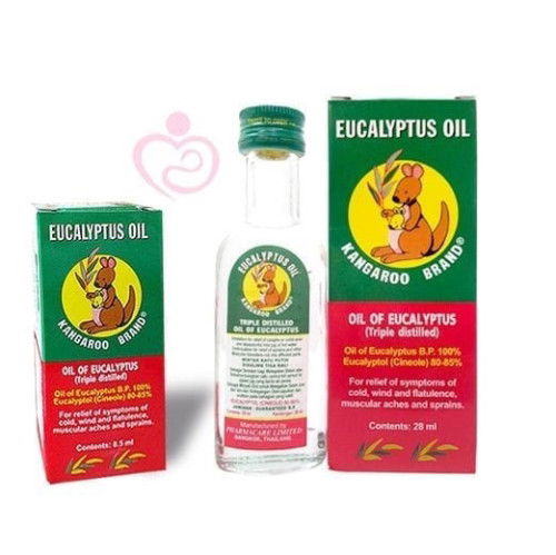 Hamil 8 minggu rasa mual sensitif bau