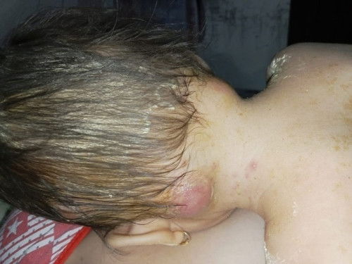 Bantu jawab dong bund!!