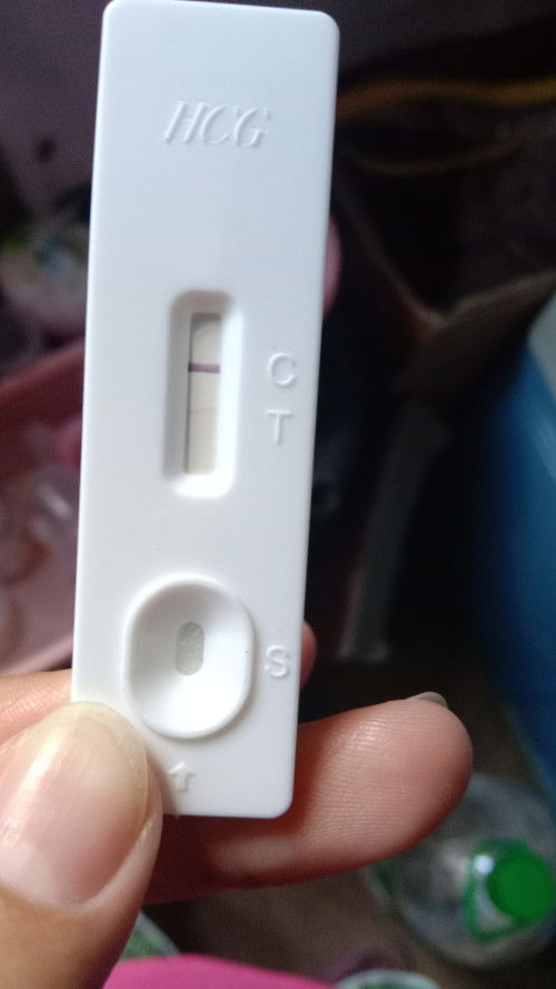 Pregnancy Test Result