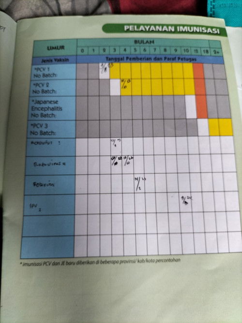 Imunisasi 10 bulan