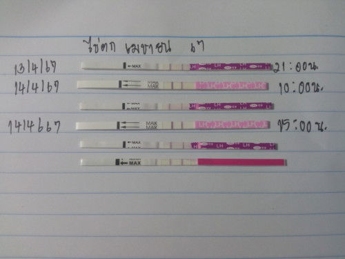 ทีมไข่ตก 10-15เมษา 57