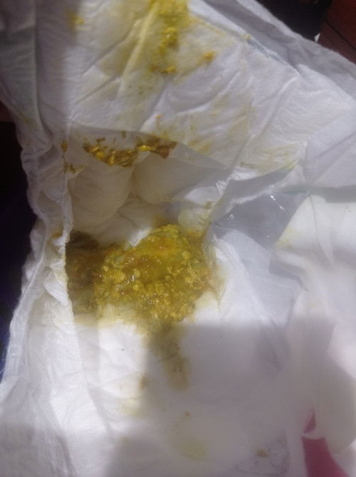 Pup bayi warna kuning kehijauan kadang kecoklatan dan seperti berlendir