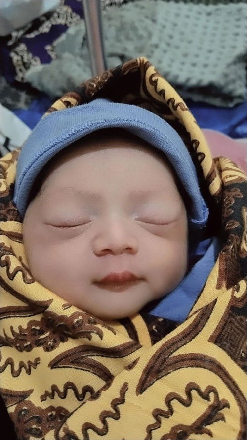 hpl 24 april launching 15 april