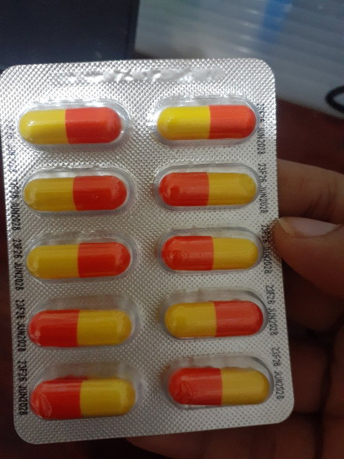 CEFALEXIN CEFAMAX 500MG , pahelp po tama po ba naibili ko :(