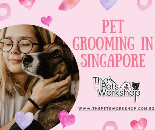 Pampered Paws: Expert Pet Grooming Services — The Pets Workshop
