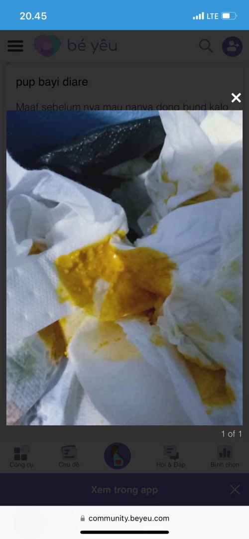 Pup Bayi umur 1 bulan lebih