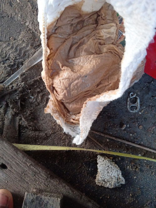 ขอถามผู้รู้หน่อยคะ