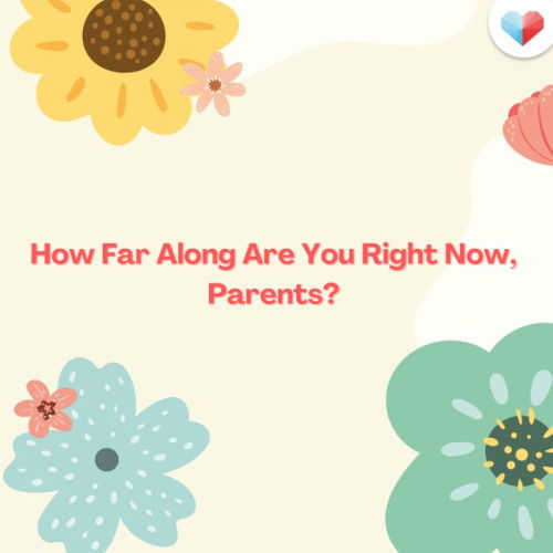 Care and Share - How Far Along Are You?