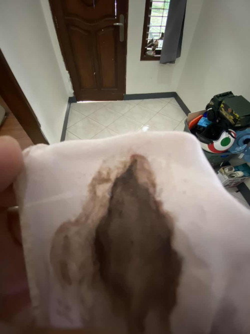 Ngeflek coklat pekat usia 5 minggu